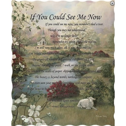 if-you-could-see-me-now-quilted-throw